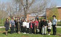Учащиеся с. Балаши стали участниками  международных акций "Сад памяти" и "Лес победы"