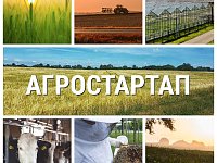 От полутора до семи миллионов рублей могут получить жители Саратовской области на стартапы в агробизнесе