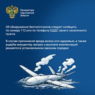 Правила поведения при атаке БПЛА для жителей области