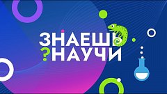 Школьников Саратовской области приглашают на конкурс научно-популярного видео