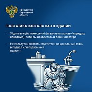 Правила поведения при атаке БПЛА для жителей области