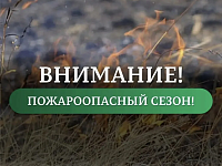 На территории Саратовской области на землях лесного фонда с 5 мая и до 31 октября 2026 года устанавливается особый противопожарный режим.