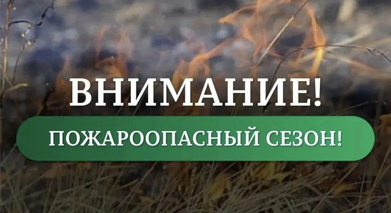 На территории Саратовской области на землях лесного фонда с 5 мая и до 31 октября 2026 года устанавливается особый противопожарный режим.