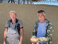 Три батыра и золото полей