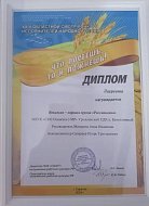Озинский коллектив стал дипломантом областного смотра-конкурса 