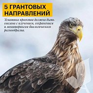 Саратовцев приглашают принять участие в конкурсе экологических и природоохранных проектов