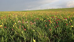 Наши фотографы