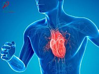 Здоровье сердца: что нужно знать каждому