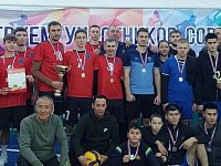 Волейбол объединил три района в патриотичном турнире