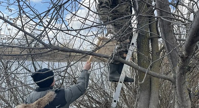 В заказнике «Центральный» разместили сделанные школьниками скворечники