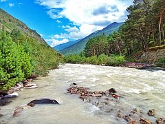 Наши фотографы