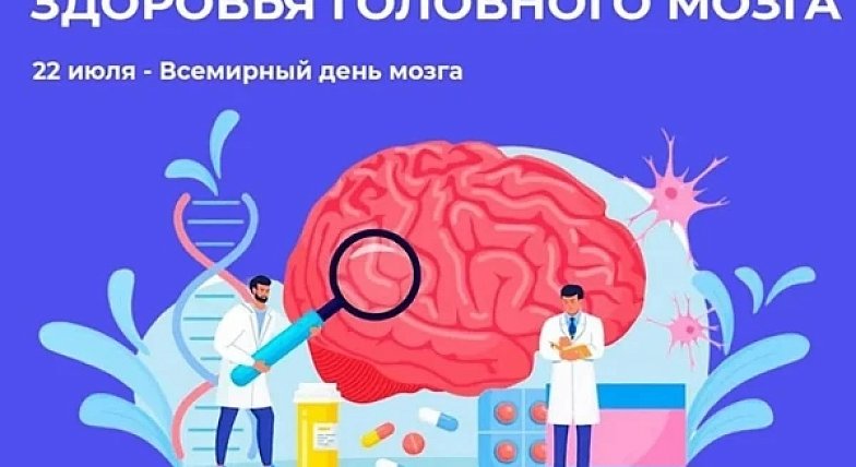 Зарядка для ума: как сохранить ясность мышления до глубокой старости