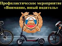 Профилактическое мероприятие «Внимание, юный водитель!»