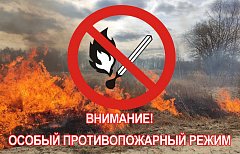 В лесах Саратовской области действует особый противопожарный режим