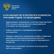 Правила поведения при атаке БПЛА для жителей области