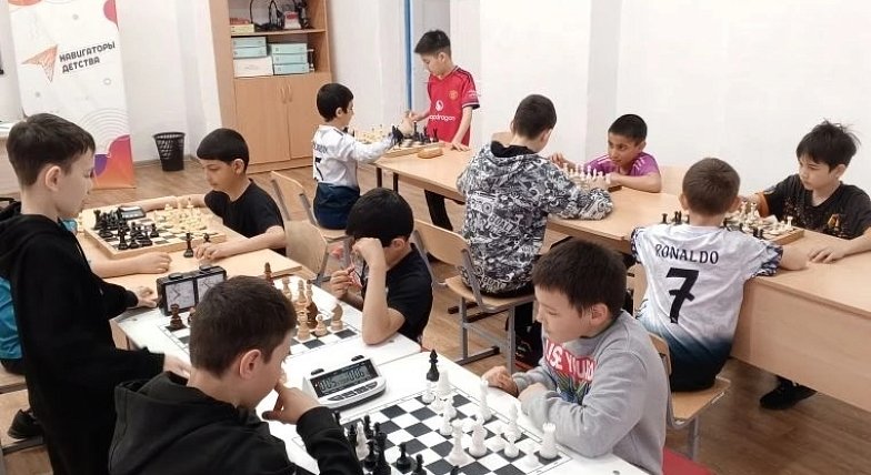 Стратеги шахматных полей