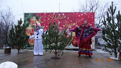 В Озинках прошла торжественная встреча Деда Мороза и Снегурочки. 