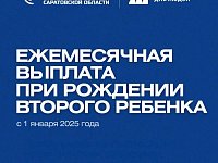 В Саратовской области по инициативе губернатора Романа Бусаргина действует региональное пособие для молодых матерей, родивших второго ребенка в возрасте до 26 лет включительно.