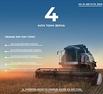 Результат сбора зерновых культур в Саратовской области почти в 1,5 раза выше прошлогоднего