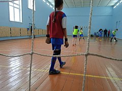 В спортивной школе р.п. Озинки состоялись соревнования по мини-футболу среди девочек 2012 г.р. и младше.