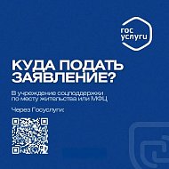 В Саратовской области по инициативе губернатора Романа Бусаргина действует региональное пособие для молодых матерей, родивших второго ребенка в возрасте до 26 лет включительно.