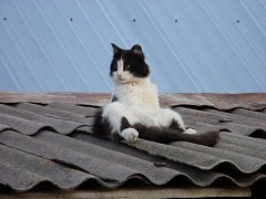 Наши фотографы