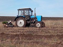 По количеству компенсационного лесовосстановления Саратовская область занимает второе место в России  