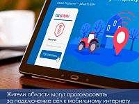 Жители области могут проголосовать за подключение сёл к интернету