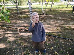 Осеннее приключение детсадовцев
