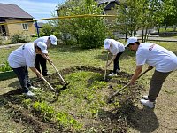 «Серебряные» руки создают зелёное будущее