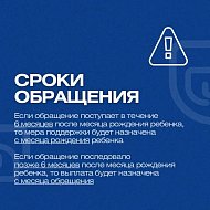 В Саратовской области по инициативе губернатора Романа Бусаргина действует региональное пособие для молодых матерей, родивших второго ребенка в возрасте до 26 лет включительно.