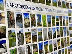 «Саратовская область глазами госземинспектора» - в региональном Росреестре открыта тематическая фотовыставка
