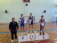 За окном метель,  на татами - жар побед